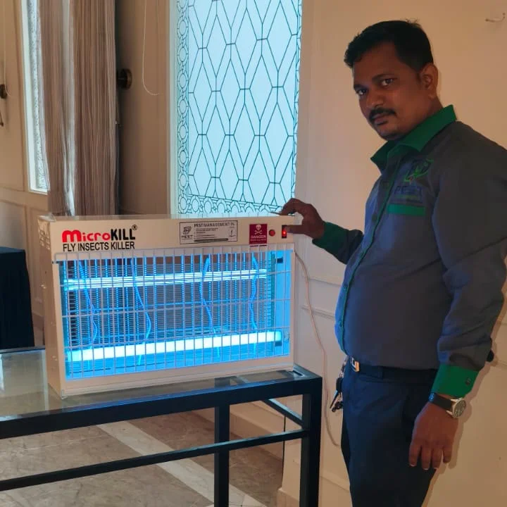 Electric fly killer units